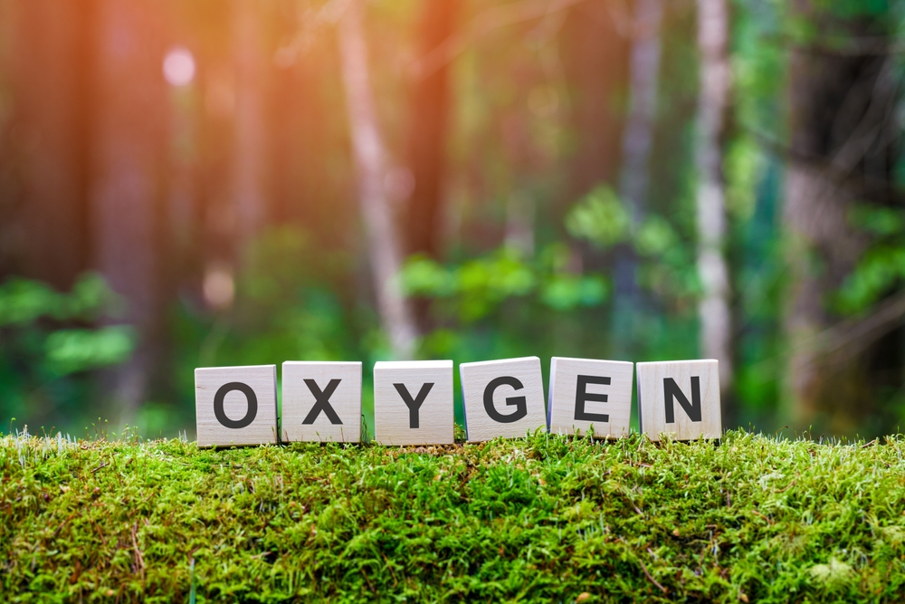 Wooden,Blocks,With,The,Word,Oxygen,On,A,Mossy,Fallen